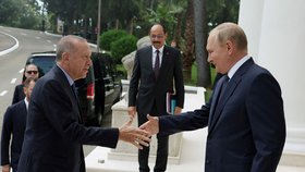 Setkání ruského prezidenta Vladimira Putina a tureckého prezidenta Recepa Tayyipa v Soči (5. 8. 2022)