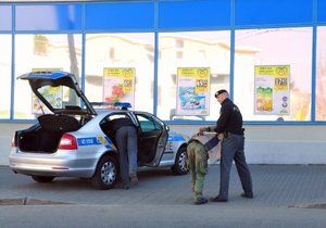 Opilou ženu přivázali policisté k mříži: Teď se kvůli tomu zpovídají u soudu. (Ilustrační foto)