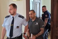 Nezdárný syn praštil nemocnou mámu do hlavy: 7 let basy, je hrozbou pro společnost