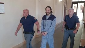 Za vyhrožování soudcům a žalobkyni zabitím vyfasoval Štefan Kotlár (49) 22 měsíců vězení. Verdikt je pravomocný.