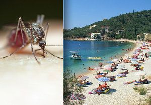 Varování pro turisty mířící do Řecka: Pozor na komáry, mohou přenášet západonilskou horečku.