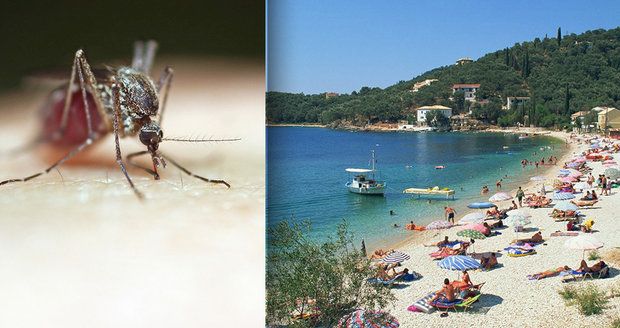 Řecko varuje před „smrtonosnými“ komáry: Západonilská horečka zabila už 50 lidí