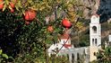 Ve vesnici Messochóri zrají granátová jablka v sadech mezi domy.