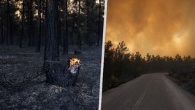 Lesní požáry v řeckém parku Dadia se hasičům pomalu daří dostat pod kontrolu