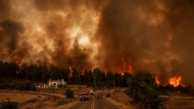 Ničivé lesní požáry v Řecku (6. 8. 2021)