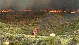 Řecko čelí rozsáhlým požárům na ostrově Euboia a na hranicích s Bulharskem, 30.7.2024.