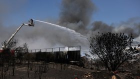 Požár v Sesklu v řecké Thesálii (28. 7. 2023).