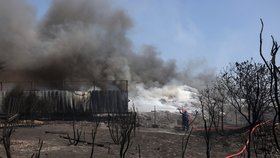 Požár v Sesklu v řecké Thesálii (28. 7. 2023).