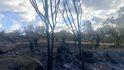 Ničivé požáry na ostrově Rhodos za sebou nechávají zpustlou krajinu.