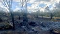 Ničivé požáry na ostrově Rhodos za sebou nechávají zpustlou krajinu.