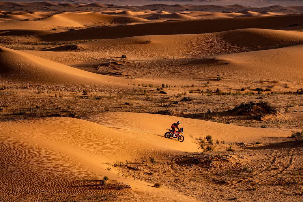 Dakar 2020 Red Bull