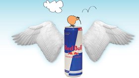 Američan společnost zažaloval za to, že mu křídla nenarostla, přestože pil Red Bull více než deset let.