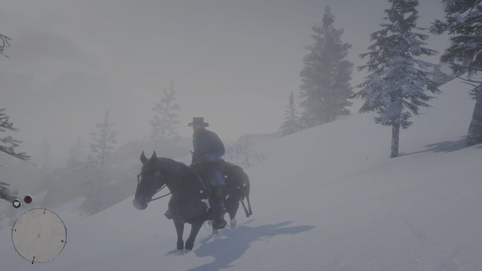 Red Dead Redemption II