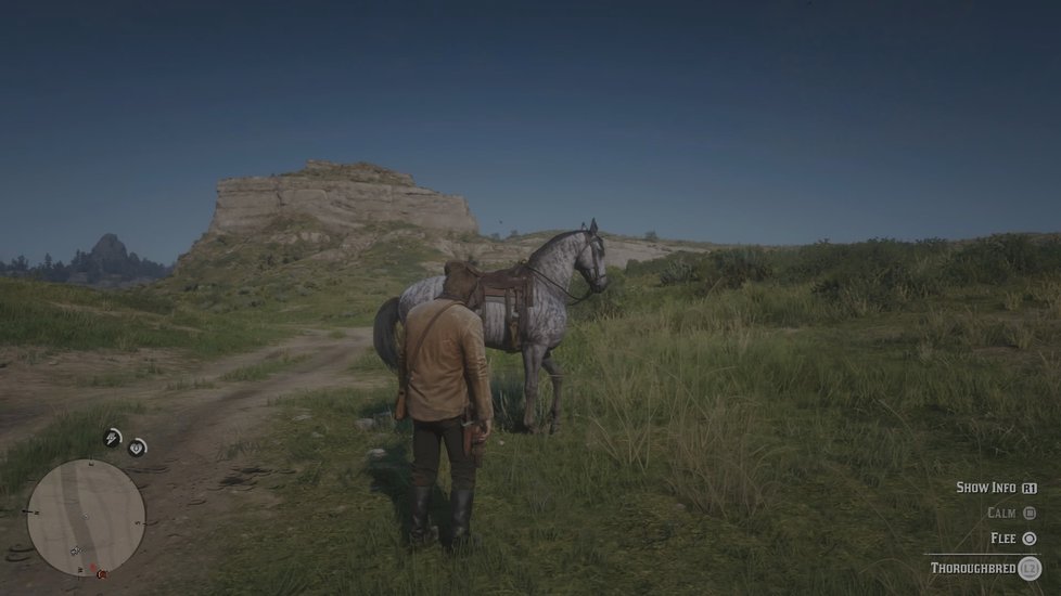 Red Dead Redemption II