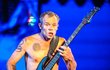 Člen kapely Red Hot Chili Peppers Flea alias Michael Balzary.