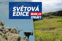 Z pustiny je zase karibský ráj. Stačilo odstranit kozy a krysy