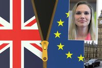 Brexit možná vyvolá vlnu referend, dominový efekt ale Evropu nečeká