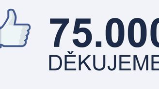 Web Reflex.cz i Facebook Reflexu v roce 2013 výrazně posílily. Děkujeme!