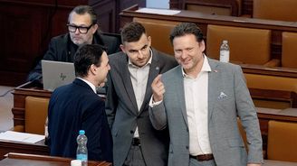 Koalice řeší Babišův střet zájmů. Další paskvil, nebo arogance moci? Koalice řeší Babišův střet zájmů. Další paskvil, nebo arogance moci?