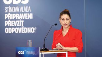 Dětský certifikát: Místo věčného řečnění je čas začít chránit děti Dětský certifikát: Místo věčného řečnění je čas začít chránit děti
