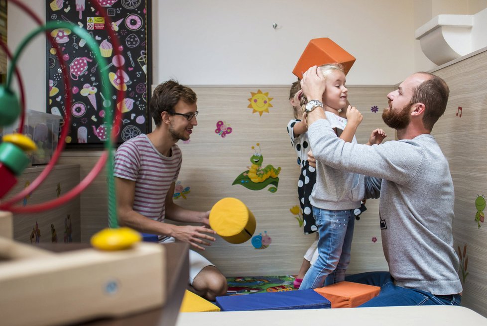 Základním principem navrhované právní úpravy je poskytnout stejnopohlavním párům a jejich dětem stejnou důstojnost a stejnou ochranu rodinného života, jako je zákonem poskytována manželům a jejich dětem.