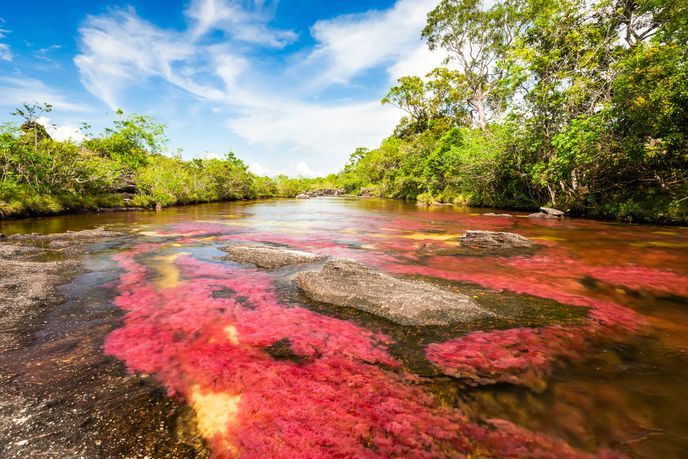 Cristales se říká řeka pěti barev