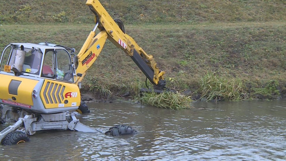 Před dvěma roky s trávou v řece Jihlavě bojoval bagr. Nepomohlo to a řeka znovu zarostla