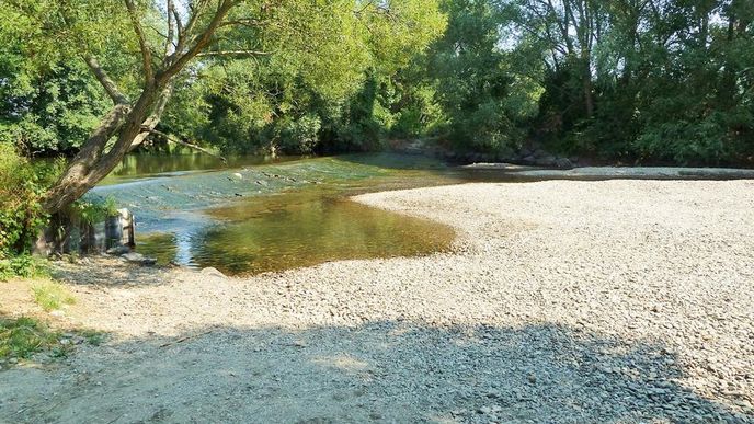 Řeka Morava v Lukavici u Mohelnice během letošního teplého suchého léta