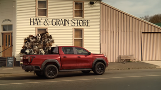 Zakázaná reklama na Toyotu Hilux: Problémem jsou psi. Co na to vy? Zakázaná reklama na Toyotu Hilux: Problémem jsou psi. Co na to vy?