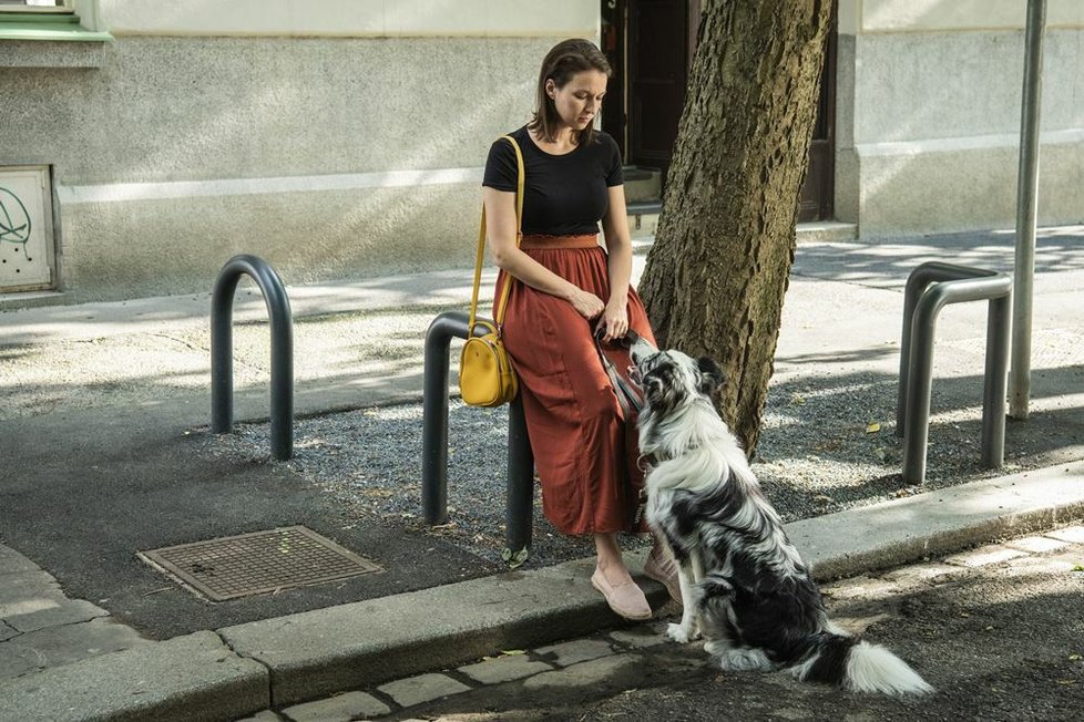 V romantické komedii Řekni to psem hraje hlavní roli Berenika Kohoutová