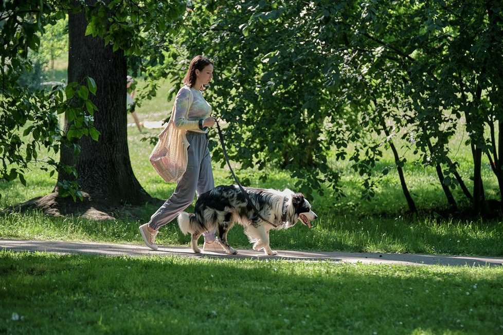 V romantické komedii Řekni to psem hraje hlavní roli Berenika Kohoutová