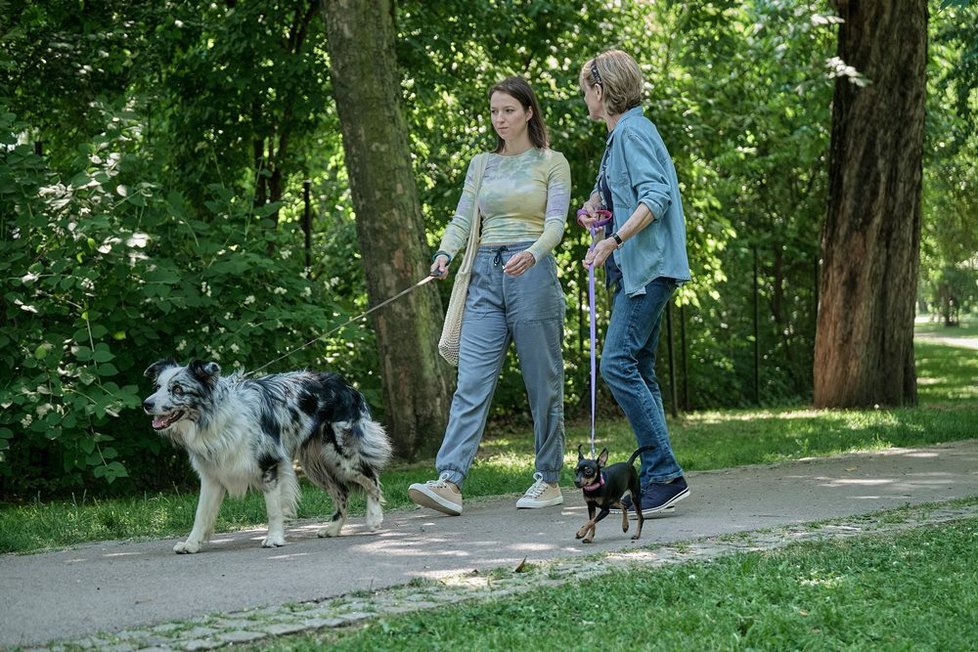 V romantické komedii Řekni to psem hraje hlavní roli Berenika Kohoutová