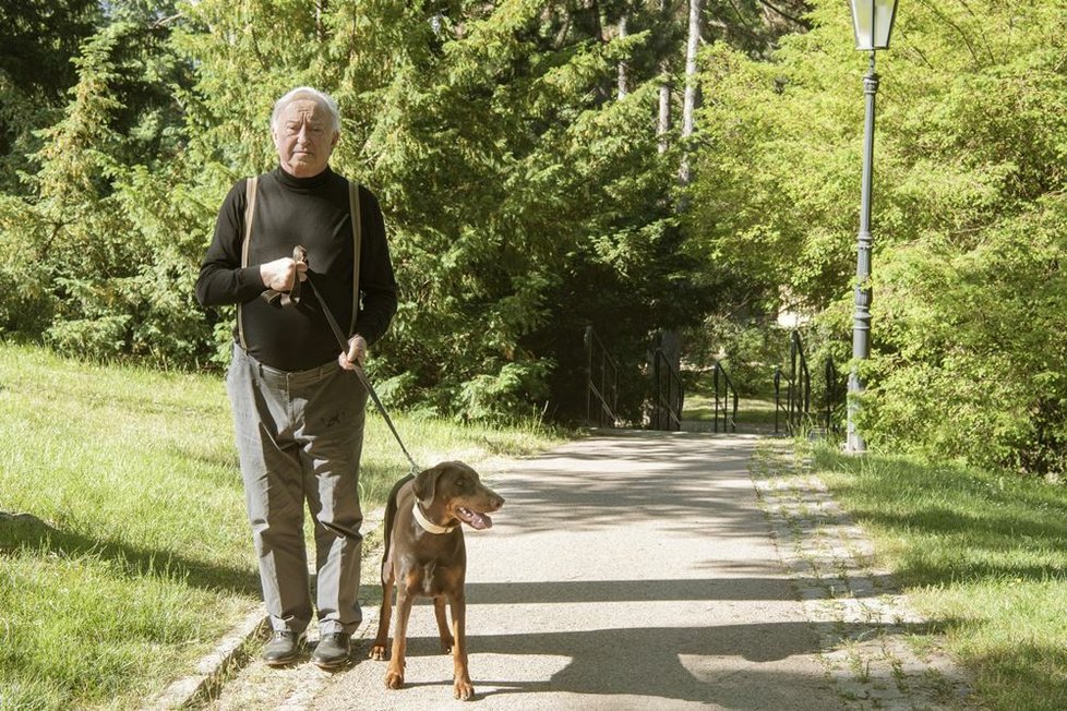 V romantické komedii Řekni to psem hraje hlavní roli Berenika Kohoutová