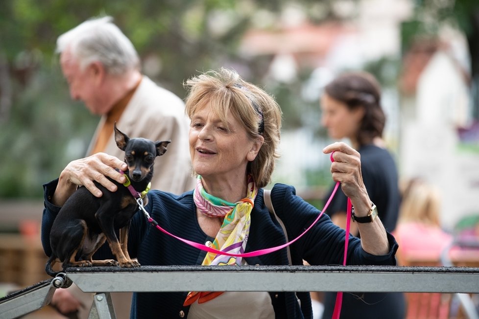 V romantické komedii Řekni to psem hraje hlavní roli Berenika Kohoutová