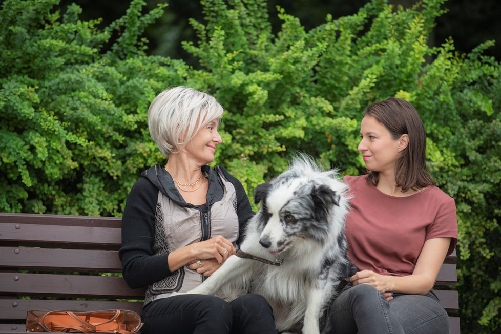 V romantické komedii Řekni to psem hraje hlavní roli Berenika Kohoutová