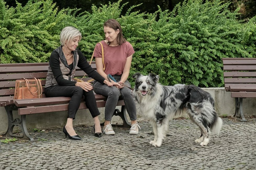 V romantické komedii Řekni to psem hraje hlavní roli Berenika Kohoutová