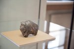 Takřka 30 tisíc let stará soška mamuta bude tahákem výstavy v brněnském Paláci šlechtičen.