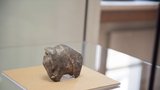 Muzeum ukáže další raritu: Sošku mamuta starou 30 tisíc let!
