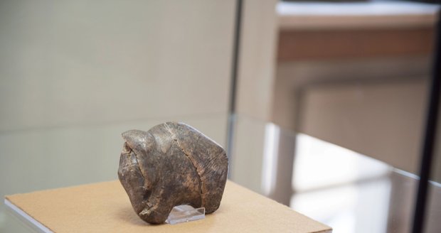 Muzeum ukáže další raritu: Sošku mamuta starou 30 tisíc let!