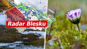 V Česku padaly stoleté rekordy: Bylo přes 15 °C! I přírodu to zmátlo, sledujte radar Blesku 