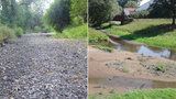 Děsivé počasí: Na Moravě vysychají řeky