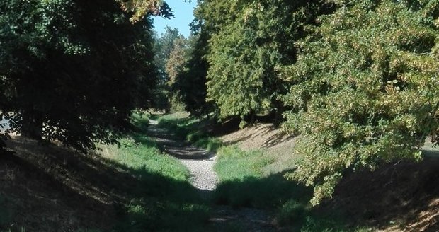 Trusovický potok na soutoku s Moravou.