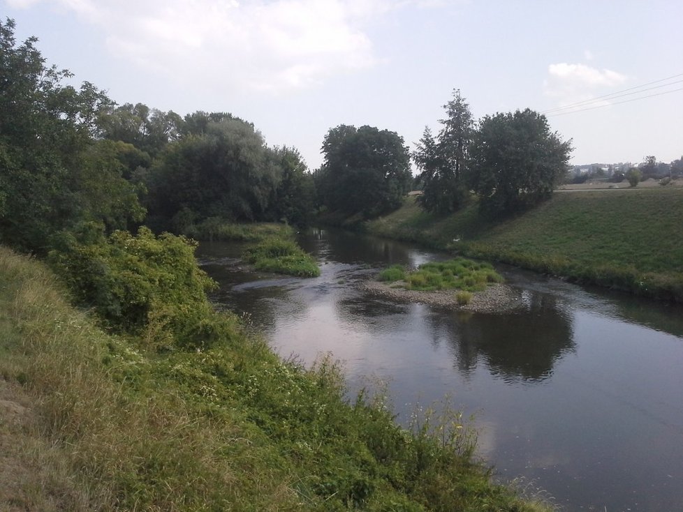 Soutok Svratky a Svitavy u Modřic.