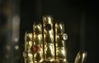 Relikviáře - Pozlacené schránky, dokonale umělecky vypracované do tvaru rukou, uchovávají ostatky sv. Ludmily a sv. Jiří.