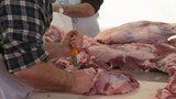 Strašidelné řeznictví ve Strašnicích: Veterináři v něm našli plíseň a stovky kilogramů závadného masa