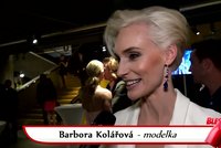 Česká Miss: Co by soutěžní porotě předvedli Janda, Smejkal nebo Langmannová