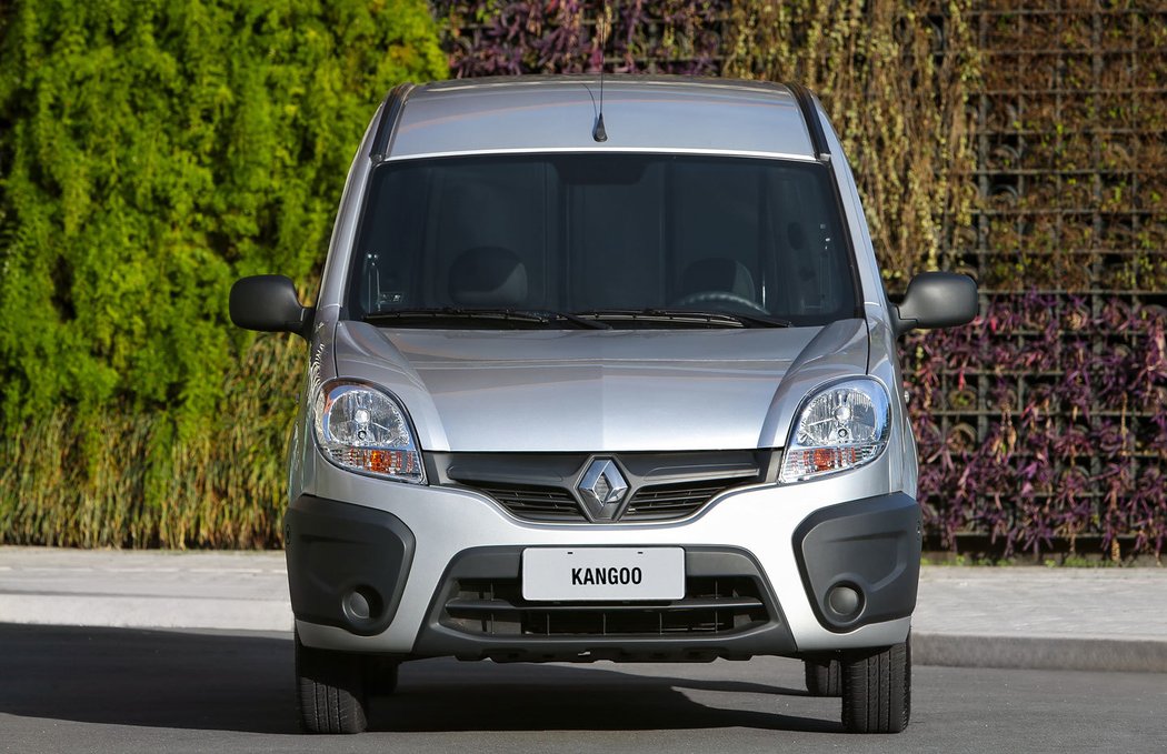 Renault Kangoo Express (2014)