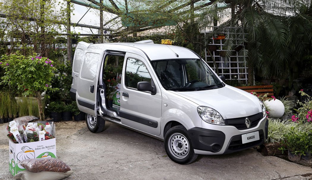 Renault Kangoo Express (2014)