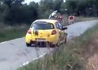 Video: Zajíc jako účastník rallye