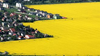 Babiš: Čísla o soběstačnosti ČR v zemědělství jsou katastrofální, pěstování řepky čelí kritice neprávem